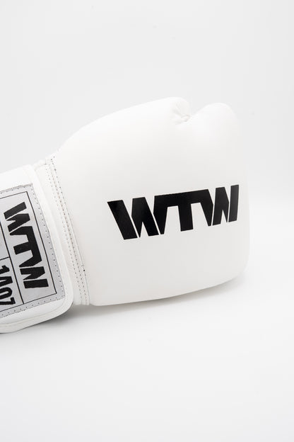 Guantes de Boxeo 14oz