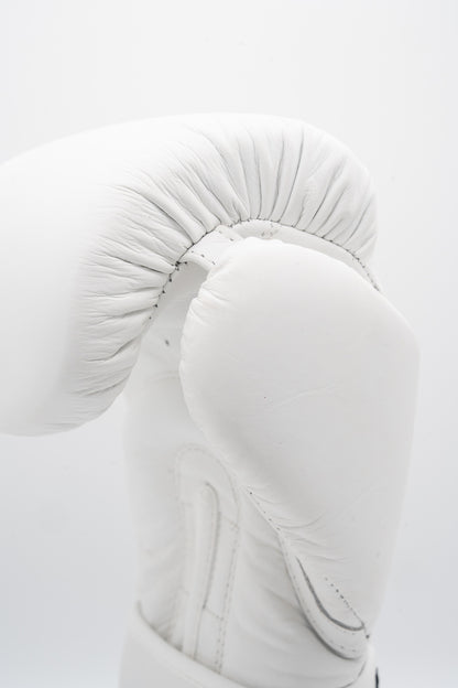 Guantes de Boxeo 14oz